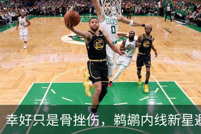 幸好只是骨挫伤，鹈鹕内线新星避免了重大伤病的发生？